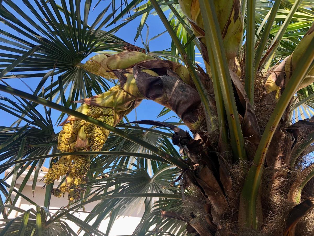 Le Rendez Vous Des Vacances Fouras Buitenkant foto